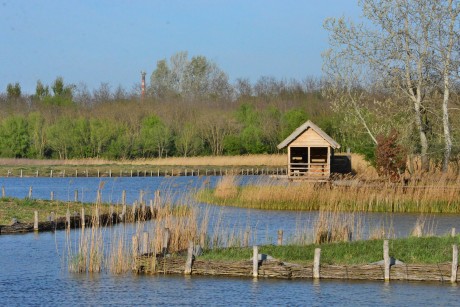 A Föld napját ünnepeljük április 22-én - itthon már 32 éve szervezik meg